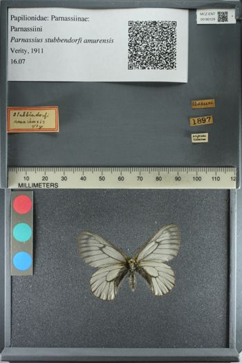 Media type: image;   Entomology 180129